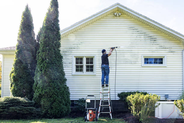 Best Graffiti Removal  in Ketchikan, AK